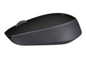 Mouse Sem Fio Logitech M171. SELADOS. DZ25
