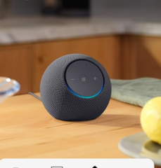 06-echo-dot-max